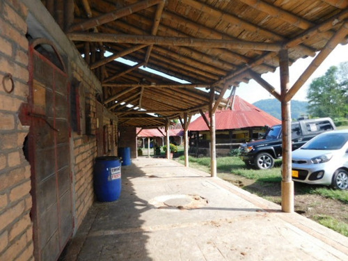 Imagen 21 de 30 de Venta Finca Comercial, Alto Tablazo, Manizales. Cod 1611750
