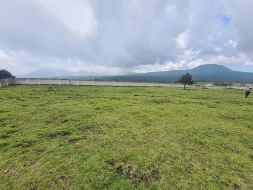 Terreno En Venta Tlalpan Santo Tomas Ajusco
