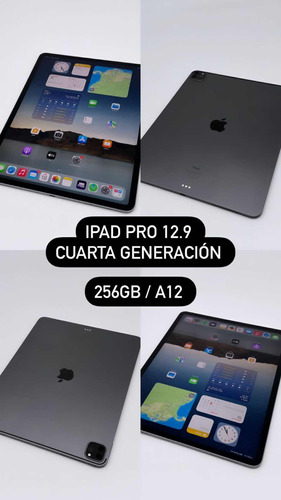 iPad Pro 12.9(cuarta Generación) 256gb Wifi
