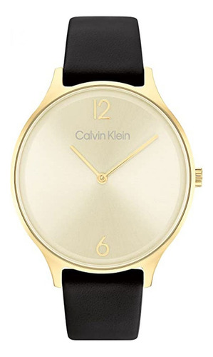 Reloj Para Mujer Calvin Klein Timeless 2h 25200008 Negro