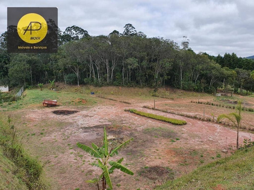 Imagem 7 de 30 de Terreno À Venda, 3557 M² Por R$ 480.000,00 - Jardim Ponte Grande - Mogi Das Cruzes/sp - Te0045