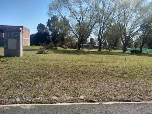 Imagen 8 de 9 de Ideal Inversor Lotes En Barrio V Federico I