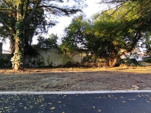 Imagen 11 de 14 de Terreno - Barrio Parque Leloir