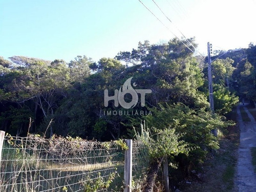 Imagem 5 de 15 de Terreno Comercial - Morro Das Pedras - Ref: 1561 - V-hi72388
