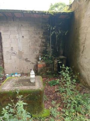 Chácara Com 2 Mil Metros E Árvore Frutífera Em Itanhaém Sp