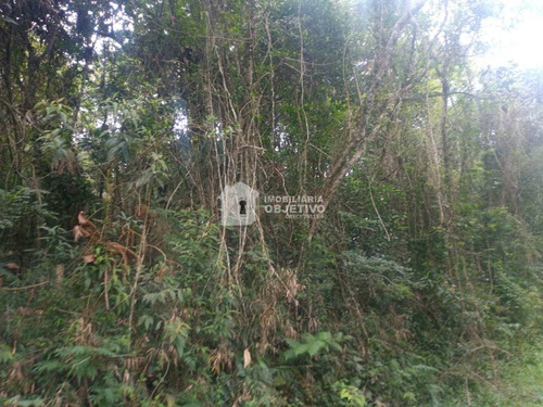 Imagem 2 de 10 de Terreno, Quilombo, Cotia - R$ 100 Mil, Cod: 4414 - V4414