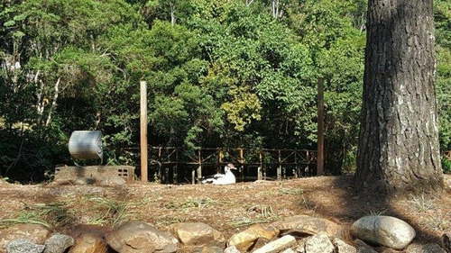 Imagem 18 de 20 de Terreno À Venda, 2845 M² Por R$ 1.600.000,00 - Jardim Mediterrâneo - Cotia/sp - Te7989