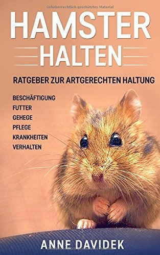 Hamster Halten Ratgeber Zur Artgerechten Haltung  Beschaftig