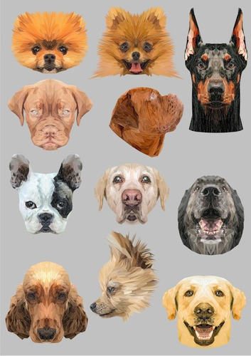 Vectores Perros Sublimacion Poleras +c Big Regalo 1010