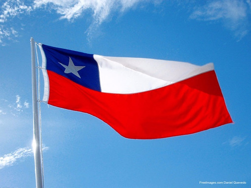 Liquidamos! Banderas Chilenas Todas Las Medidas, Calidad
