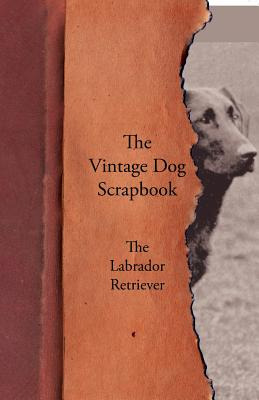 Libro The Vintage Dog Scrapbook - The Labrador Retriever ...
