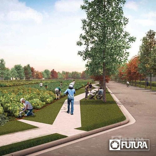 Imagen 8 de 10 de Comunidad Evolutiva, Barrio Prosumidor - Pueblo Esther