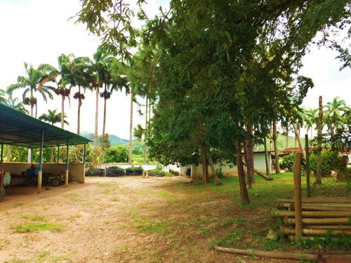 Dc224456 En Venta Hermosa Finca En Los Chaguaramos, Sabaneta Norte - Montalbán Carabobo