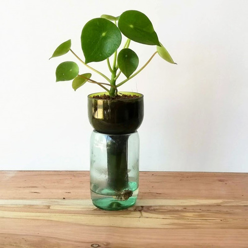 Imagen 5 de 10 de Cuchara Little Plant 15, Maceta Autorregante