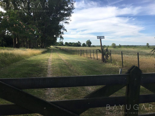 Imagen 23 de 30 de Venta - Campo En Cardales - Bayugar Negocios Inmobiliarios