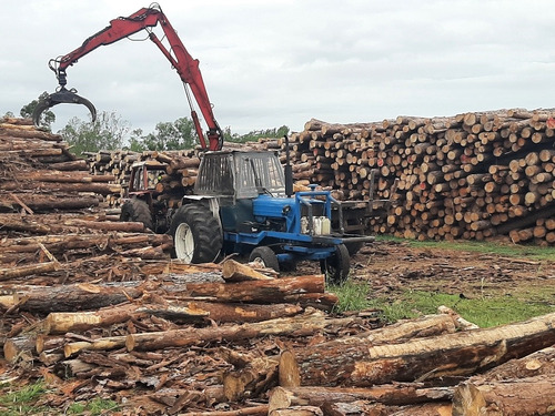 Tractor Con Grapo Forestal