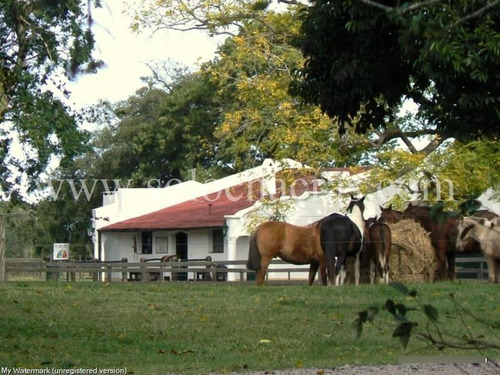 Benquerencia - San Miguel Del Monte Buenos Aires - Chacra 2da Fila Golf - 100