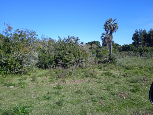 Campo De 43 Hectáreas En Las Cañas