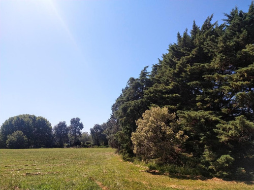 Imagen 4 de 12 de Chacra - El Argentino Farm Club