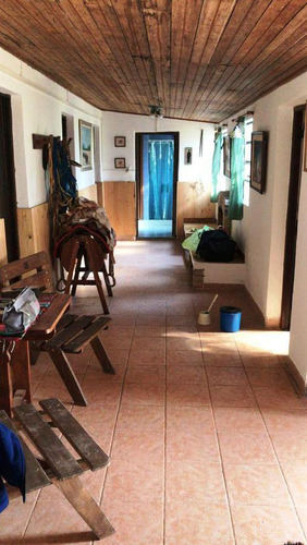 Imagen 3 de 22 de Excelente Chacra De 55 Hectareas Con Casa, Mejoras Y Luz Electrica En Las Flores