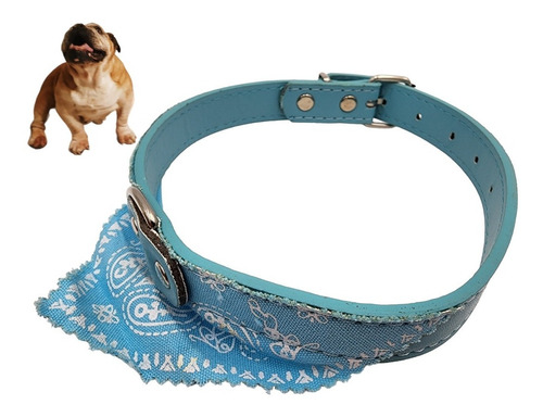 Collar Con Pañuelo Para Perros Y Cachorros 42.5cm Fashion