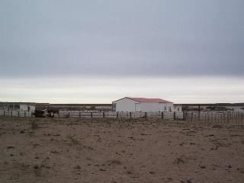 Imagen 7 de 10 de Campo - Biedma