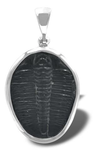 Starborn Colgante De Trilobita Fosilizada De Plata De Ley, .