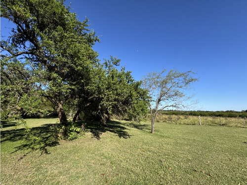 Vendo Lote De 1 Ha En Talita, Concepción Del Uruguay, Entre Ríos.