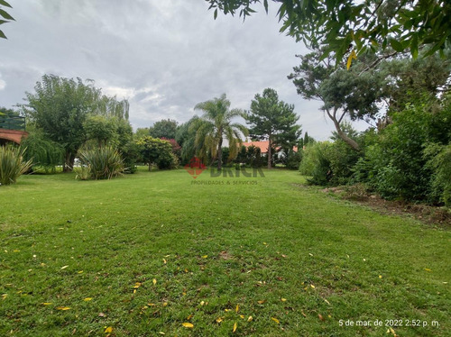 Imagen 2 de 7 de Excelente Lote De Terreno - Golfer's Cc