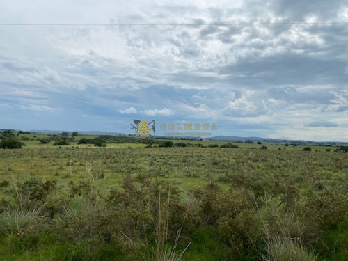 Campo En Garzon - Ideal Para Uso De Descanso - Consulte!!!!- Ref: 3606