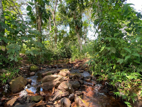 Imagen 4 de 13 de Finca En Venta San Juaquin De Navay