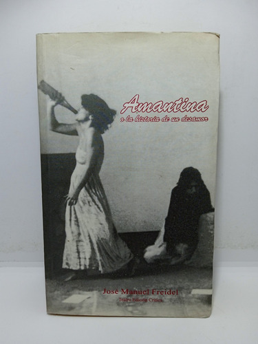 Amantina O La Historia De Un Desamor - José Manuel Freidel 