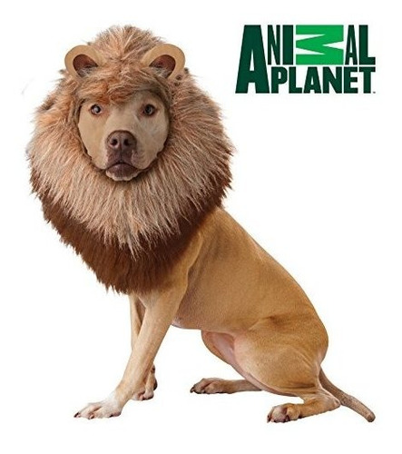 Disfraz Melena De León Talla Large Para Perro, Animal | Envío gratis Disfraz Melena De León Talla Large Para Perro, Animal | Envío gratis