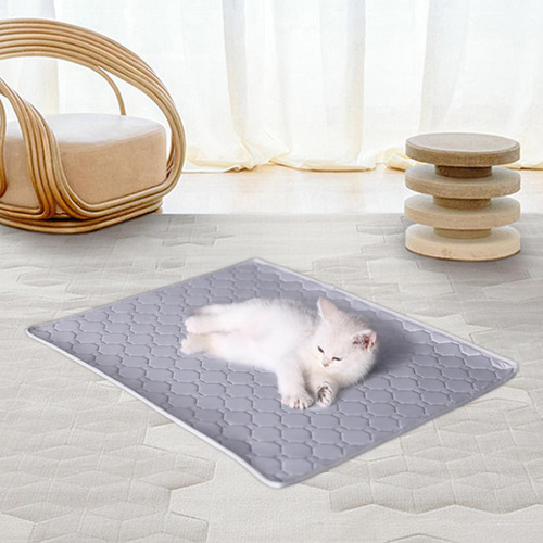 Colchón Para Cama De Dormir Base Antideslizante 40cmx50cm