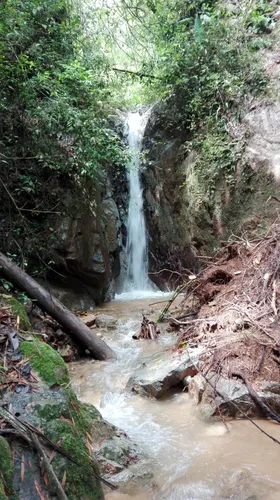 Venta De Finca Agropecuaria En La Martinica, Ibagué