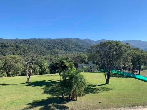 Imagen 4 de 6 de Lote | Yerba Buena