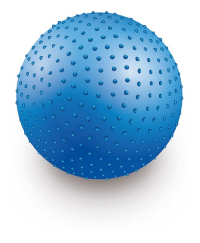 Balon Sensorial 65cm Yoga Fitness Gimnasio Rehabilitacion 
