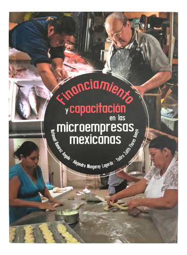 Financiamiento Y Capacitación En Las Microempresas Mexicanas