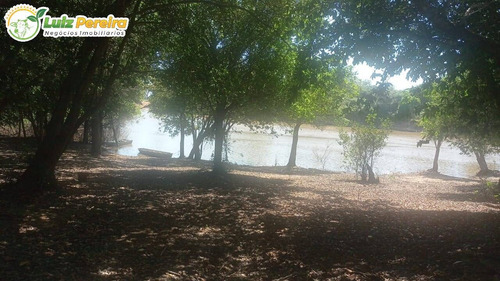 Imagem 11 de 15 de Fazenda Á Venda No Formoso Do Araguaia - To - 1.327,2 Hec., (dupla Ptidão) - 2263