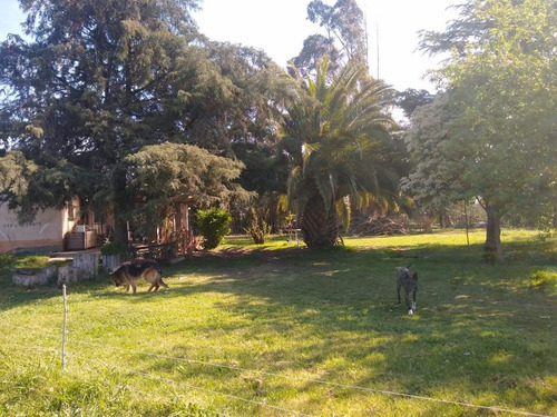 Imagen 6 de 24 de Casa Quinta Con Vista A La Sierra La Barrosa - 1650 M2 Lote