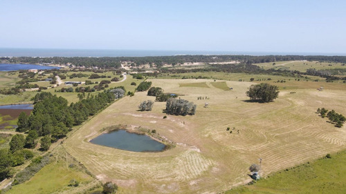Imagen 8 de 30 de Chacra En Venta, Fraccion De 20 Has En Jose Ignacio (ref: Atm-6766)