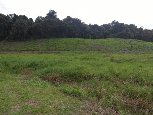 Imagem 20 de 30 de Sitio No Juquiá - St00024
