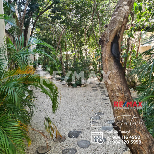 Descubre Palalma: Un Encuentro Con Tu Verdadero Hogar - Discover Palalma: A Reunion With Your True Home - En Venta / On Sale Palalma - Tulum - Region 15 / La Veleta