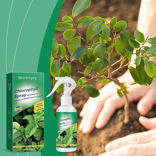 Aerosol De Clorofila Líquida, Clorofila Nutritiva For Plant