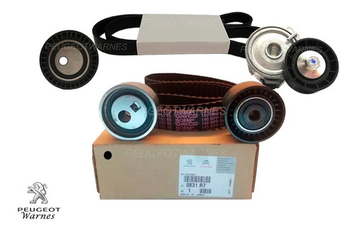 Distribucion + Kit Poly V Orig Citroen Berlingo 1.9 D 05-10