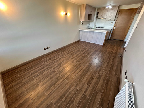Depto Central 1d Completamente Remodelado (77610)