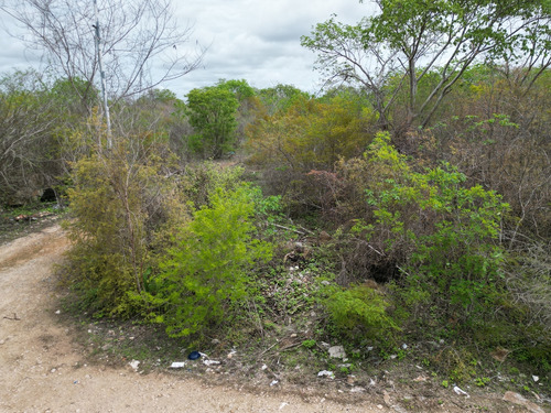 Terreno En Esquina En Venta Cholul
