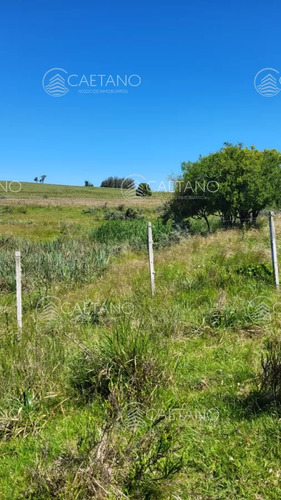 Venta Chacra Jose Ignacio Con Costa Arroyo Anastasio