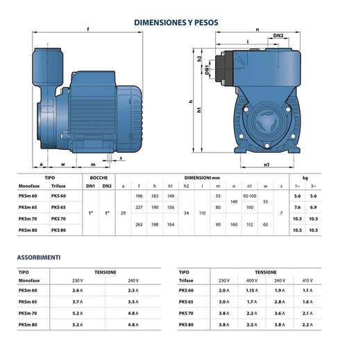 Bomba Agua 1/2 Hp Autocebante Pedrollo Periferica 110v/60hz