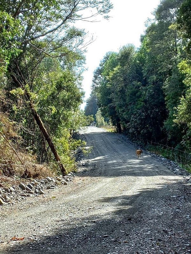 Imagen 4 de 23 de Agrícola En Venta En Puerto Montt